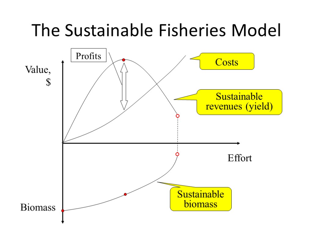 The Sustainable Fisheries Model Value, $ Effort Biomass Costs Sustainable revenues (yield) Sustainable biomass